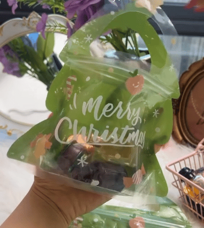 ❄️🎅Early Christmas Sale 50% OFF!!☃️🎄Christmas Treat Bags, Kids Xmas Sealable Bags With Handle 10 PCS❄️