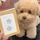🎄Christmas Sale 49% OFF🎁🐶Pet Paw Printing Kit With Cards Frame🐾🐾