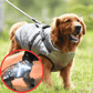 🐶Hot Sale -50% OFF🔥3 in 1 Winter Waterproof Warm Dog Jacket With Built-in Harness