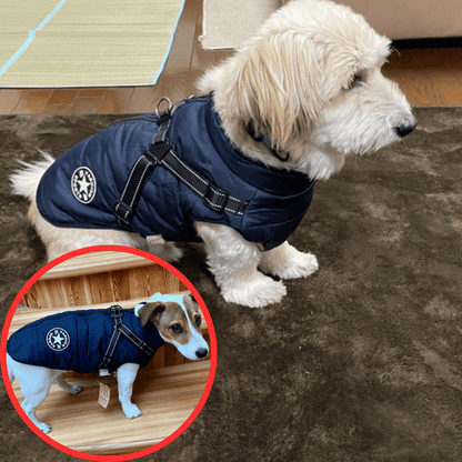 🐶Hot Sale -50% OFF🔥3 in 1 Winter Waterproof Warm Dog Jacket With Built-in Harness