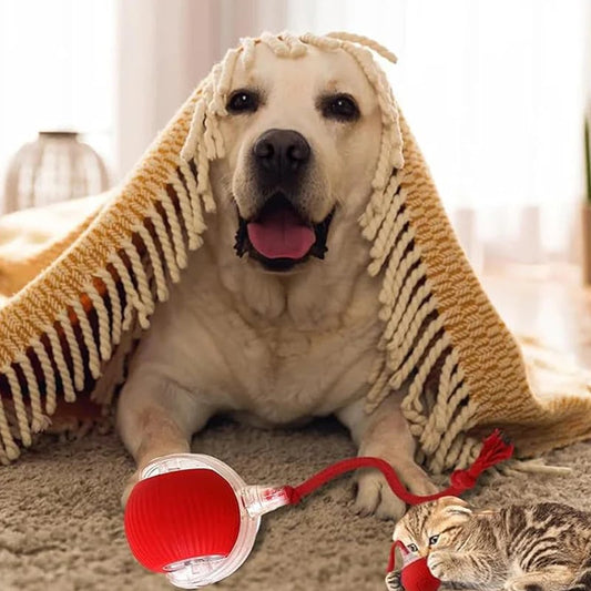🎁Last Day 49% OFF🔥Smart Automatic Rolling Pet Ball
